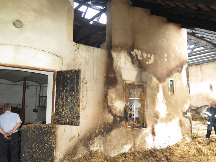 Požár stájí způsobil škodu za tři milióny, koně vyvázli bez zranění.