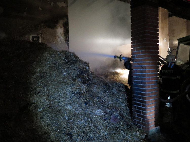 Požár stájí způsobil škodu za tři milióny, koně vyvázli bez zranění.