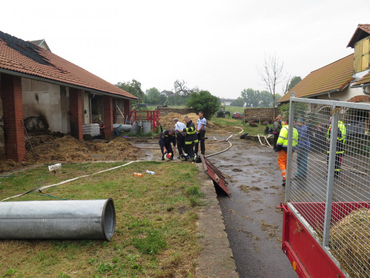 Požár stájí způsobil škodu za tři milióny, koně vyvázli bez zranění.