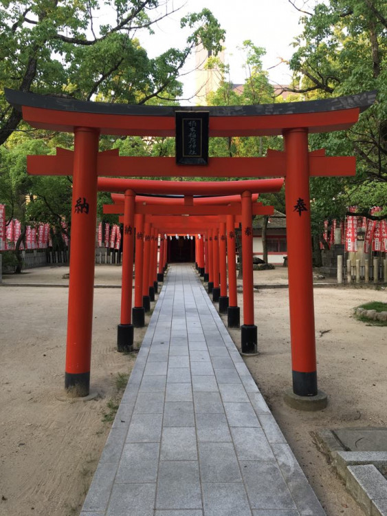 Karatista Tomáš Hermann bojoval v japonském Kóbe