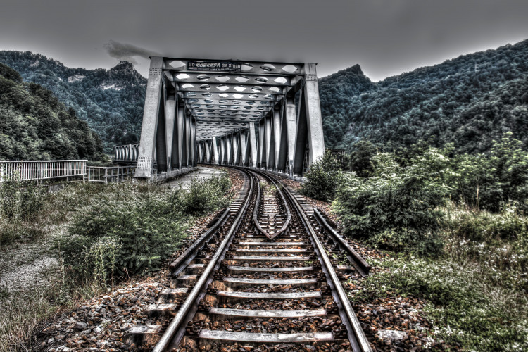 Vyšetřování v rumunském strašidelném lese Hoia Baciu přineslo výsledky