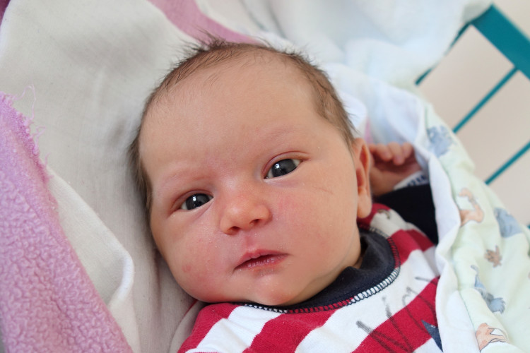 Míčanová Viktorie