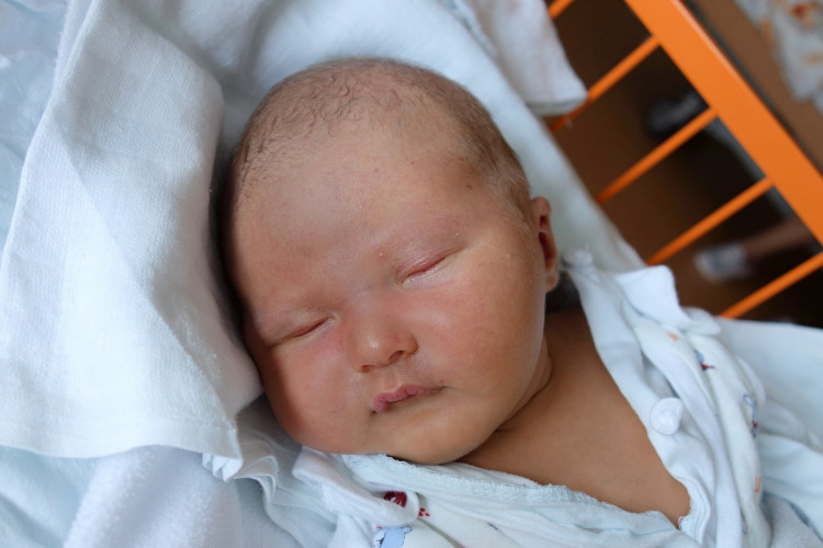 Kovaříková Klaudie