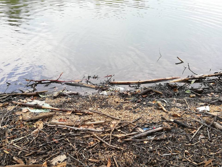 Odpadky u jablonecké přehrady