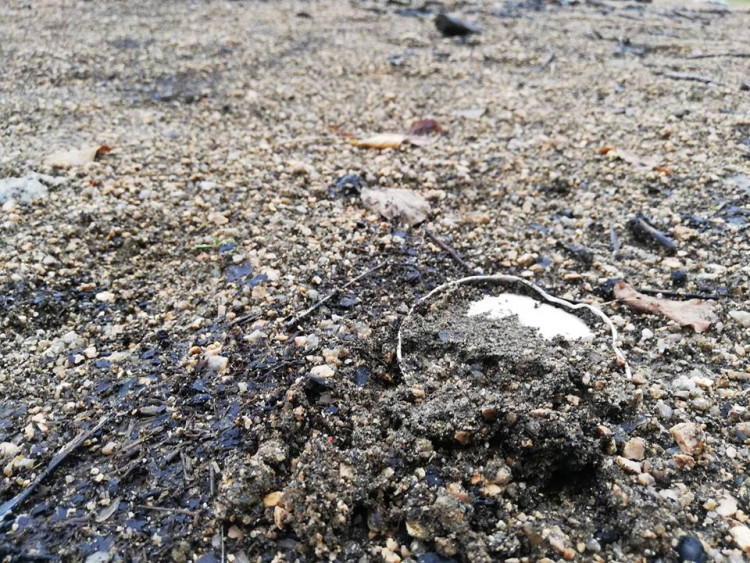 Odpadky u jablonecké přehrady