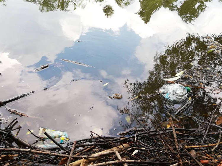 Odpadky u jablonecké přehrady