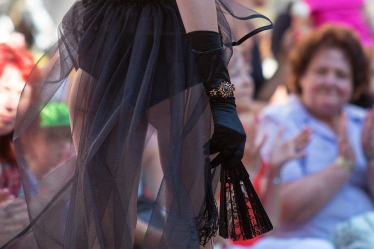 Křehká krása 2018