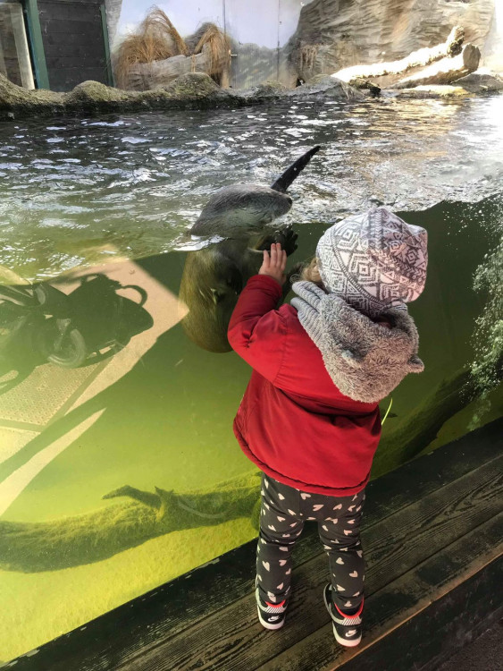 Hluboká láká turisty na top instagramová místa