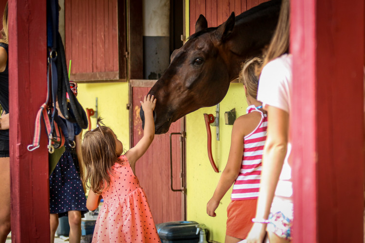 FOTOGALERIE: Nadace Brave Bear uspořádala pro děti velký dětský den. Podívejte se na fotky!