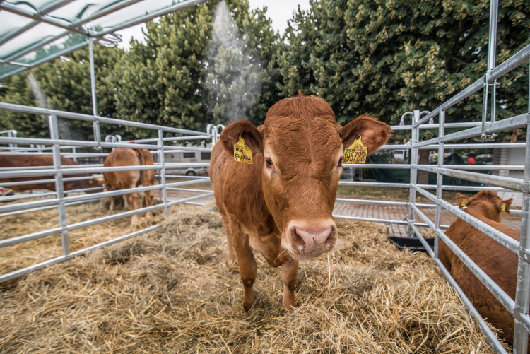 Agrosalon Země živitelka 2018