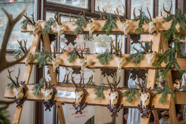 Agrosalon Země živitelka 2018