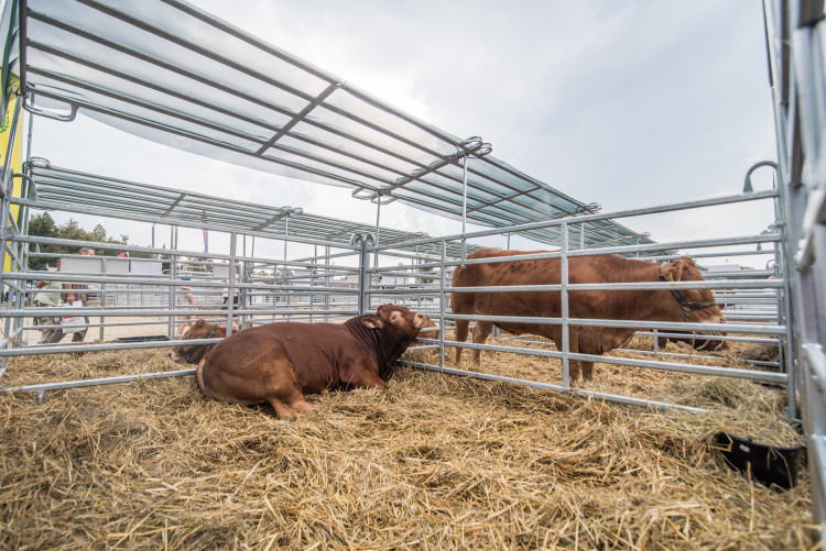 Agrosalon Země živitelka 2018
