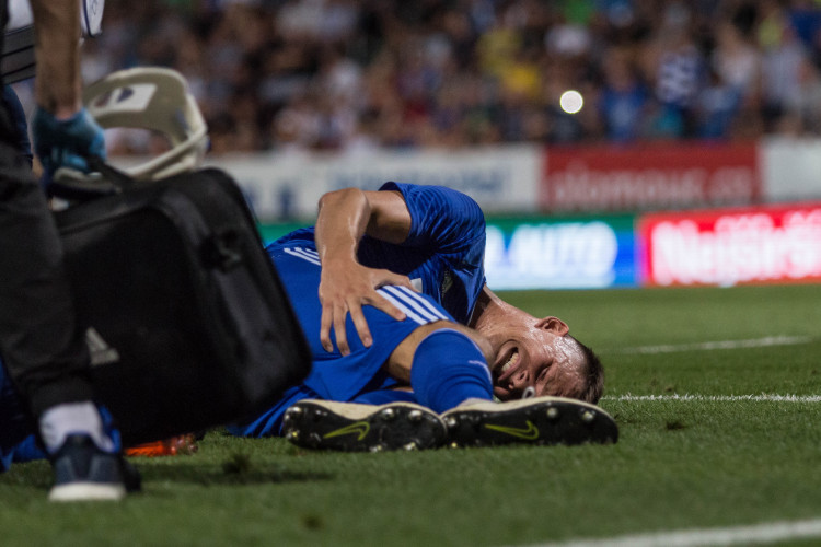 FOTOGALERIE: Celý stadion jim tleskal vestoje. Sigma ukázala, že vyhrát proti Seville není nemožné