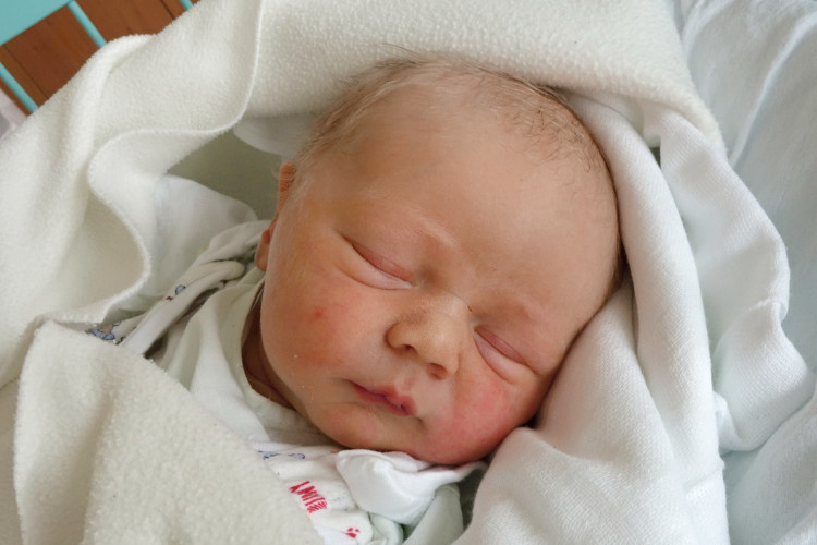 Arrizabalaga Sandoval Viktor