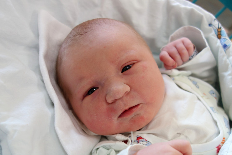 Nedvídková Pavlína