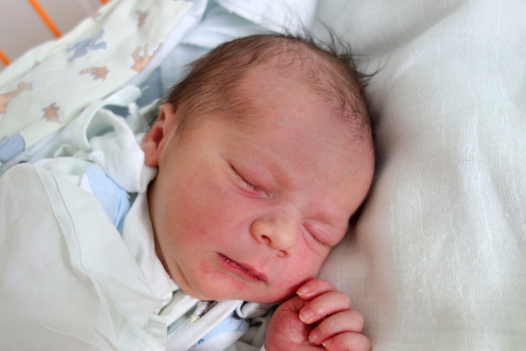 Nechvátal Otakar Rufin