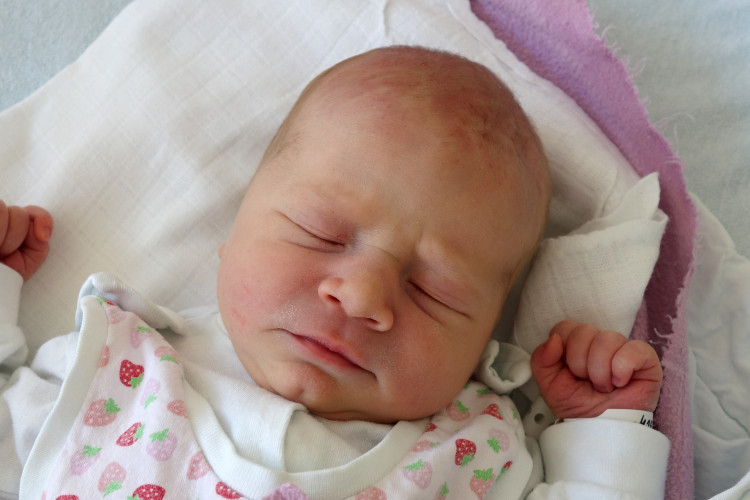 Procházková Elleanor