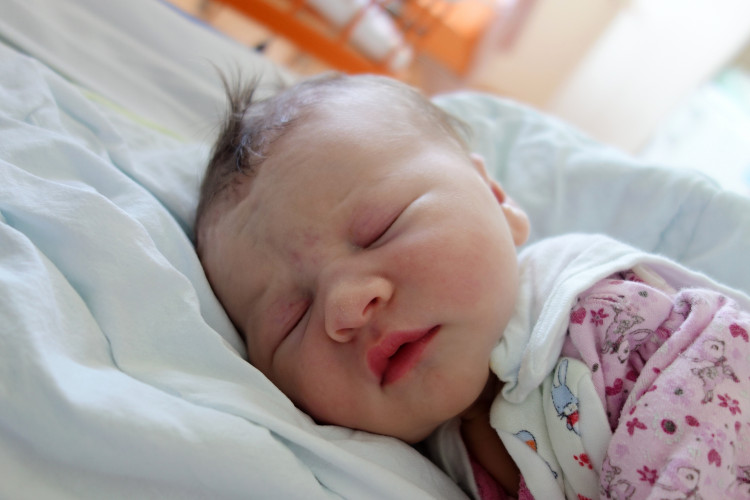 Vomáčková Berenika