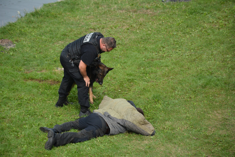 Eliščino nábřeží obsadila záchranářská technika