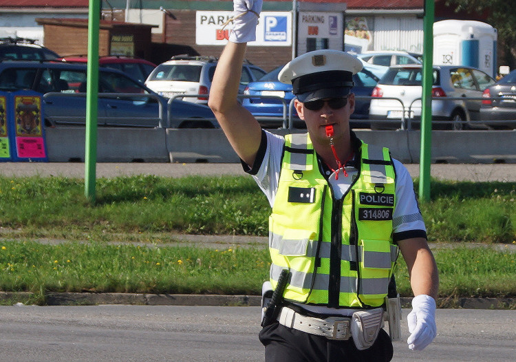 Nejlepší čeští regulovčíci předvedli svůj um v Budějcích