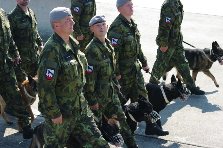 Vojáci trénují v Bechyni na slavnostní přehlídku