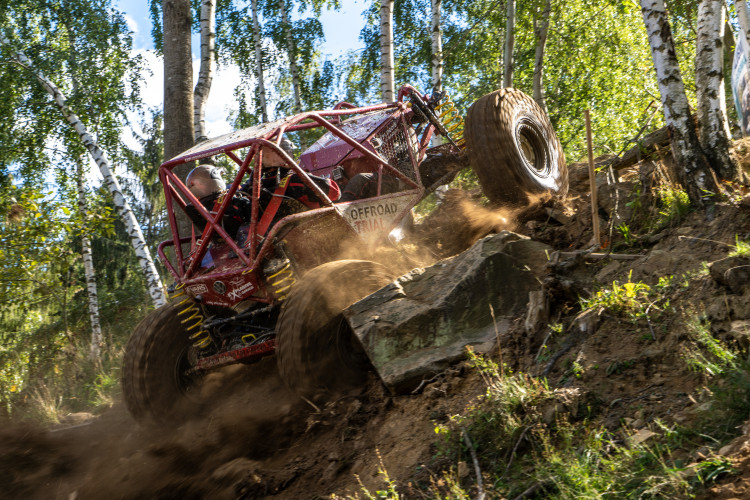 Pístovské mokřady 2018