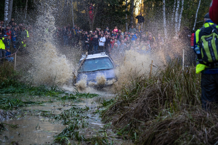 Pístovské mokřady 2018