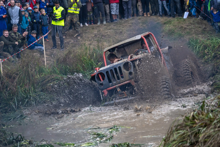 Pístovské mokřady 2018