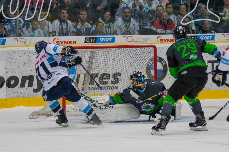 Zápas Bílí tygři Liberec proti BK Mladá Boleslav