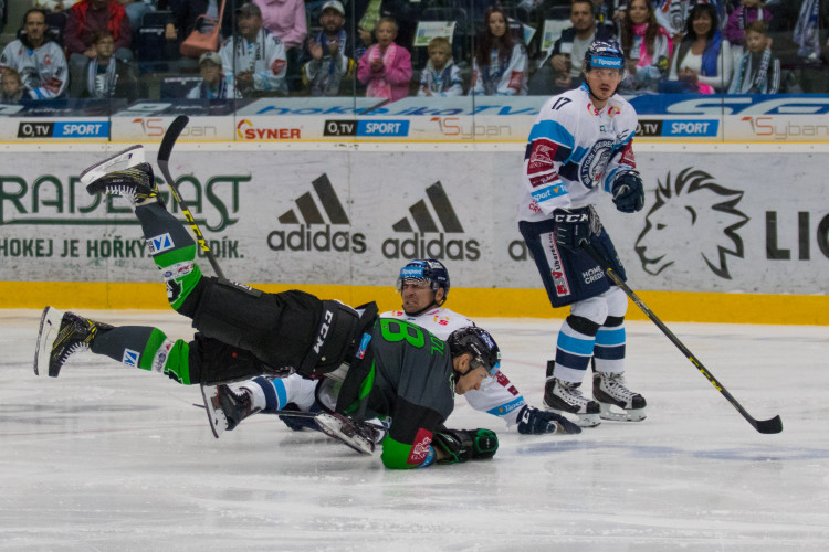 Zápas Bílí tygři Liberec proti BK Mladá Boleslav