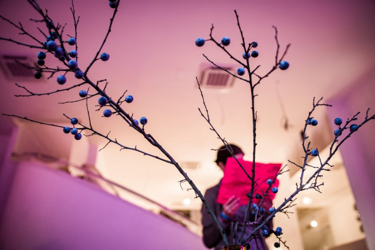 Kouzelný hotel Avion otevřel své brány, autor: Tomáš Hrivňák