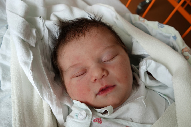 Josefína Ondroušková