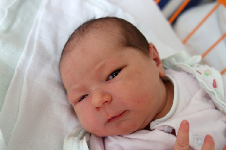 Magdaléna Králová