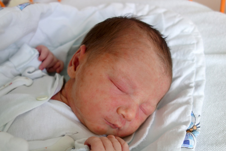 Vojtěch Pflugmacher