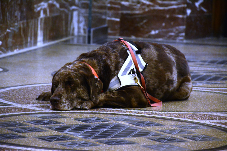 Ženou regionu se  stala Tereza Melišová, pomáhá dětem v nemocnicích i azylových domech 