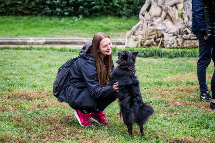 Chcete nás? Umisťovací výstava psů v Lužánkách 2018, autor: Tomáš Hrivňák
