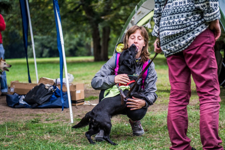 Chcete nás? Umisťovací výstava psů v Lužánkách 2018, autor: Tomáš Hrivňák