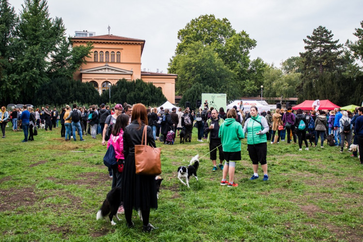 Chcete nás? Umisťovací výstava psů v Lužánkách 2018, autor: Tomáš Hrivňák