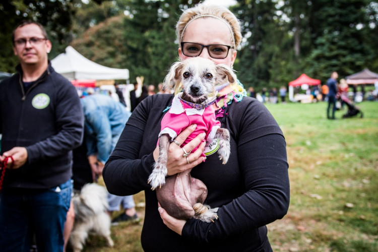 Chcete nás? Umisťovací výstava psů v Lužánkách 2018, autor: Tomáš Hrivňák