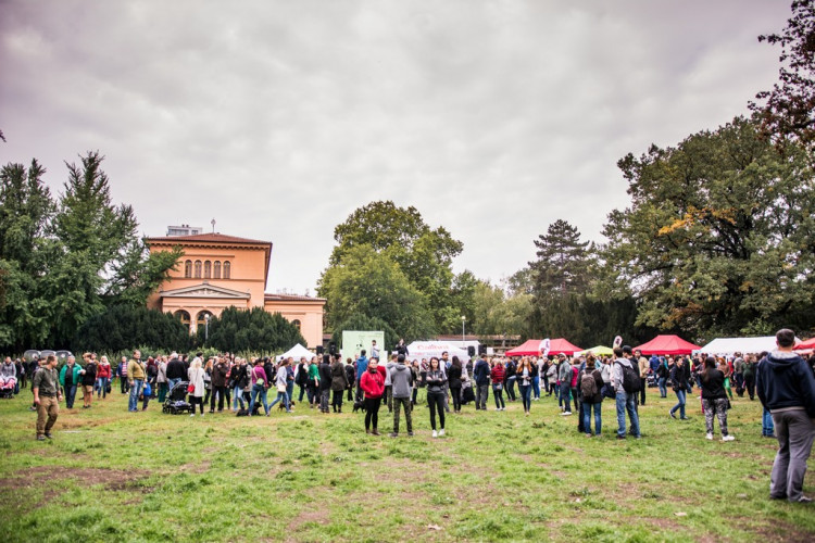 Chcete nás? Umisťovací výstava psů v Lužánkách 2018, autor: Tomáš Hrivňák