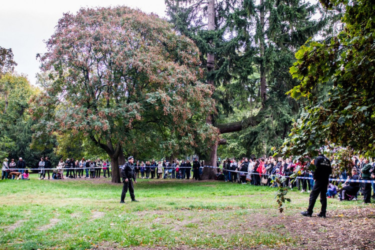 Chcete nás? Umisťovací výstava psů v Lužánkách 2018, autor: Tomáš Hrivňák