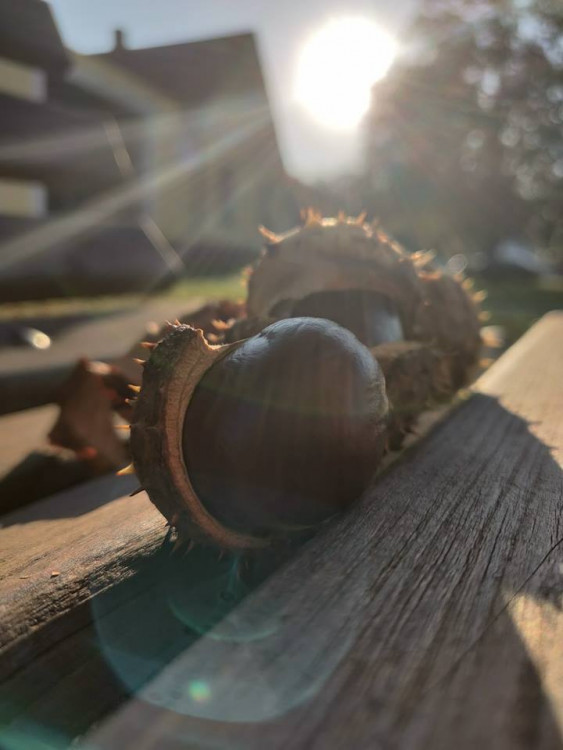 Teplé podzimní dny vás baví