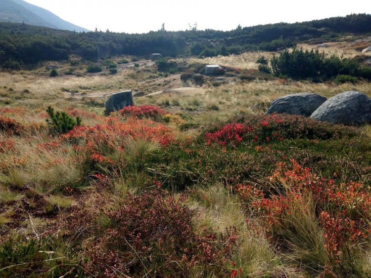 Teplé podzimní dny vás baví