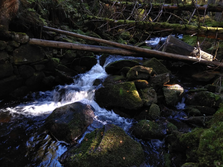 Teplé podzimní dny vás baví