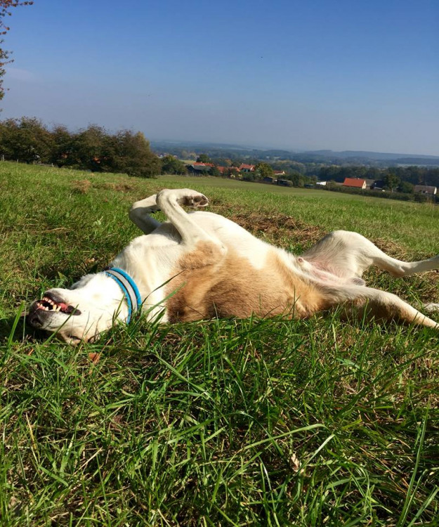 Teplé podzimní dny vás baví