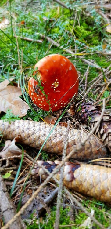 Teplé podzimní dny vás baví