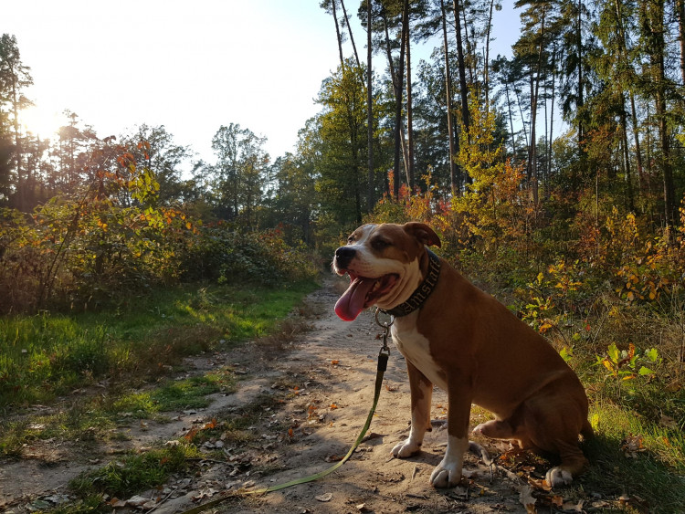 Teplé podzimní dny vás baví