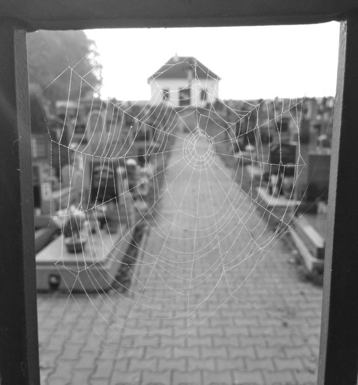 Teplé podzimní dny vás baví