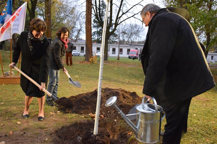 Vysazení Lípy republiky v Jihlavě