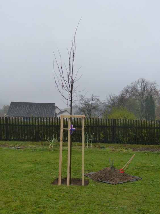 Oslavy stého výročí republiky v Dolní Cerekvi